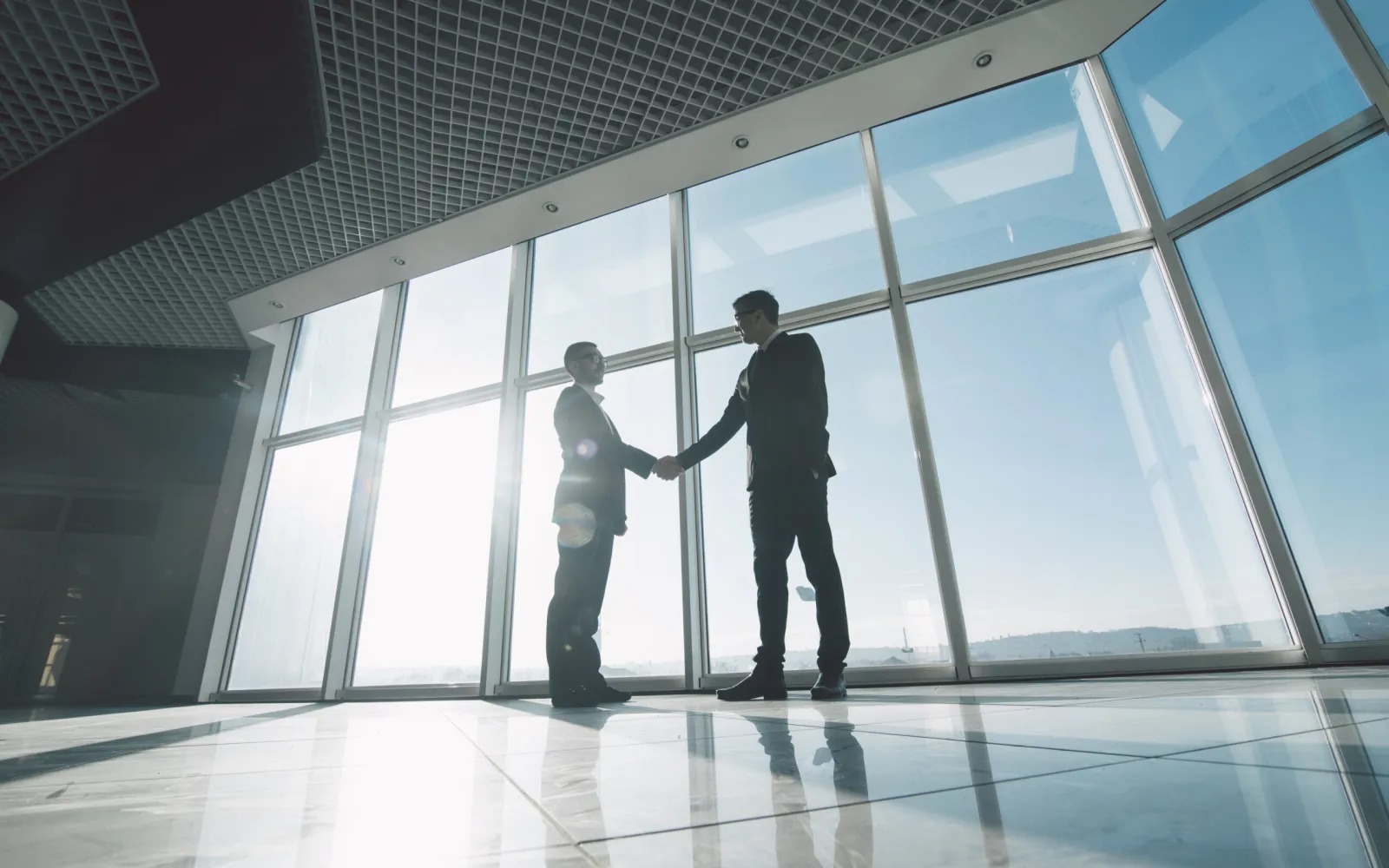Business Law Commercial Law: Key Differences for Business Owners