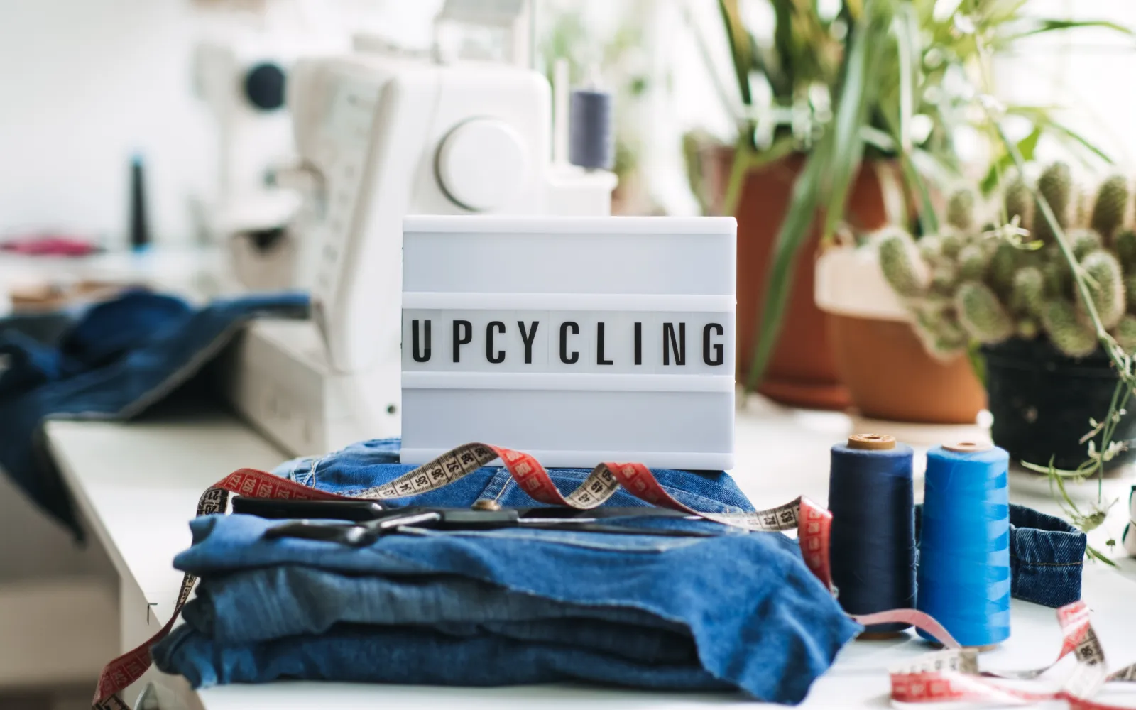 Upcycled Trademark Infringement: What Businesses Should Know